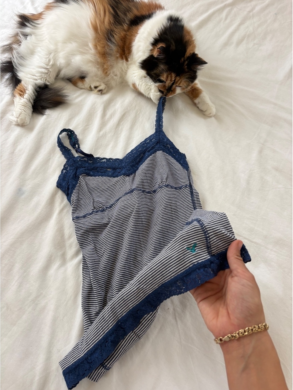 vintage Aerie blue striped lace trim camisole